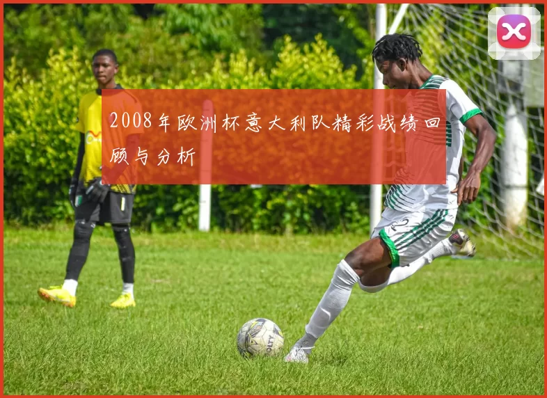 2008年欧洲杯意大利队精彩战绩回顾与分析