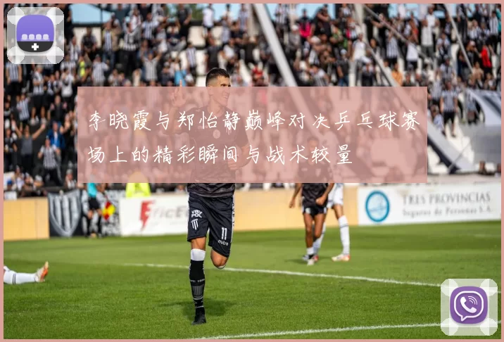 李晓霞与郑怡静巅峰对决乒乓球赛场上的精彩瞬间与战术较量